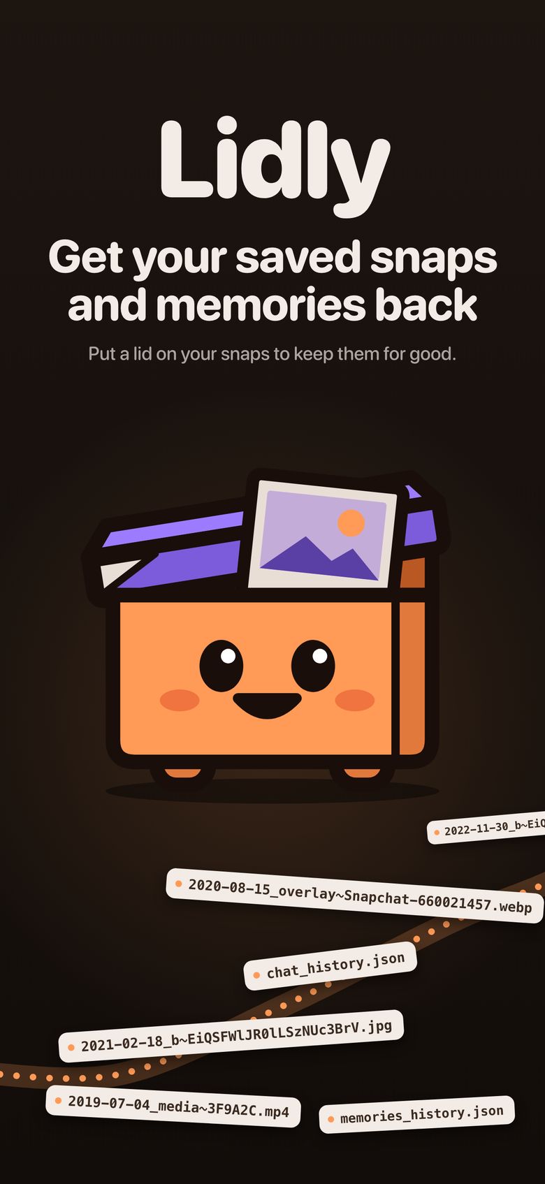 Lidly: get your saved snaps and memories back. Pocket, the Lidly mascot, holds a photo.